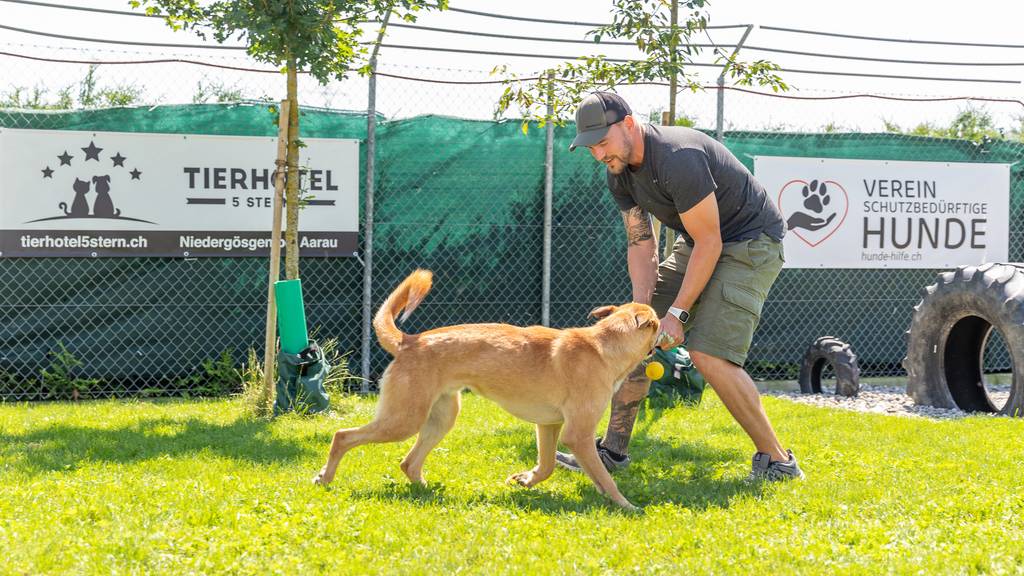 Piet Umiker Tierhotel 5 Stern Niedergösgen Tierschutz Hunde