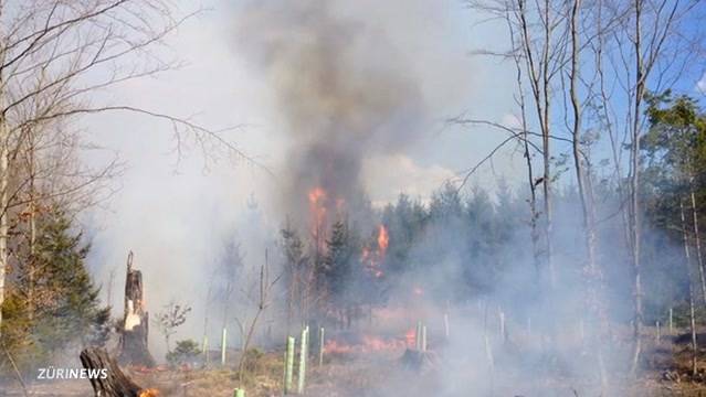 Hohe Waldbrandgefahr in vielen Teilen der Schweiz