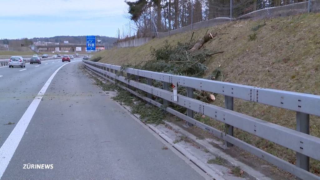 Windspitzen von fast 120 km/h: Sturmtief Luis fegt mit heftigen Böen über die Schweiz