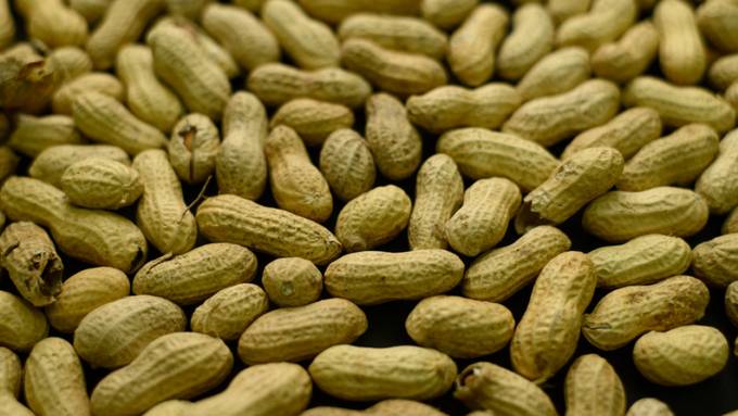 Erdnüsse im Speiseplan von Kleinkindern können Allergien lindern