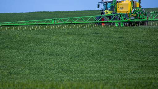 Expertin: Blockade im Nahen Osten könnte Lebensmittelkrise auslösen