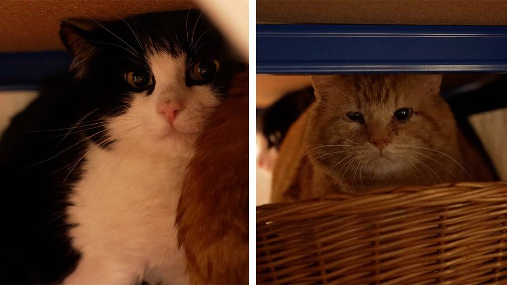 Marlow & Edison