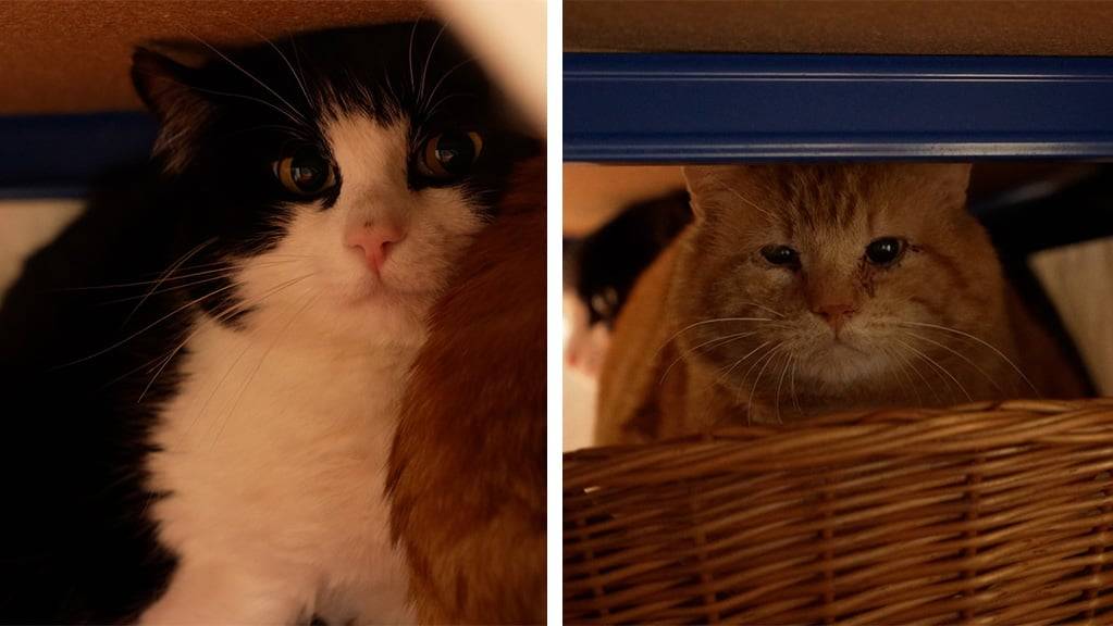Marlow und Edison