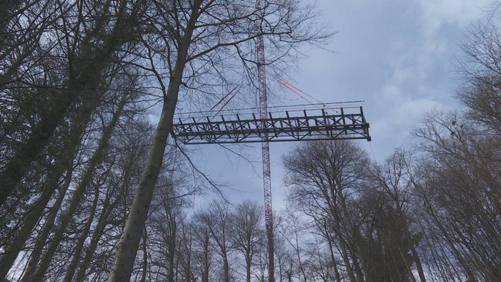 Historische Stahlbrücke für die Sonnenbergbahn montiert