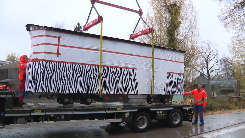 Rösslitram-Nachfolge: Neues E-Tram in Knies Kinderzoo angekommen