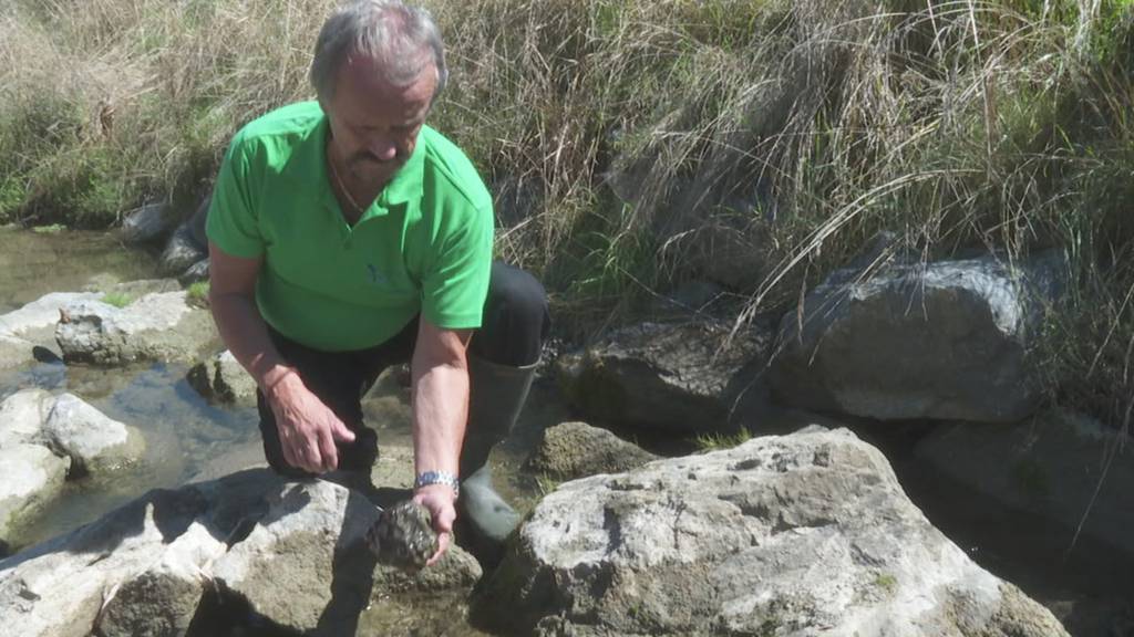 Regen nützt gegen die Trockenheit in der Ostschweiz praktisch nichts