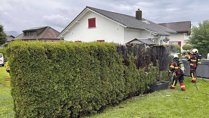 Hecke und Fahne in Flammen