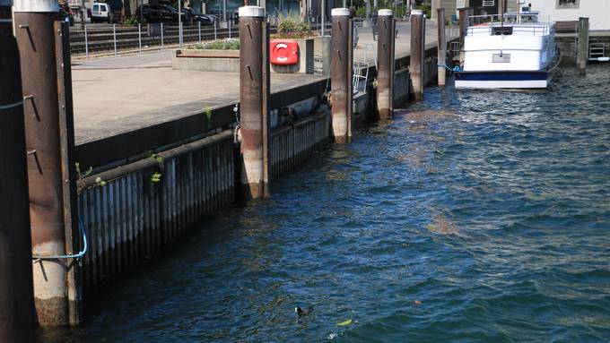 Zu wenig Wasser im Bodensee