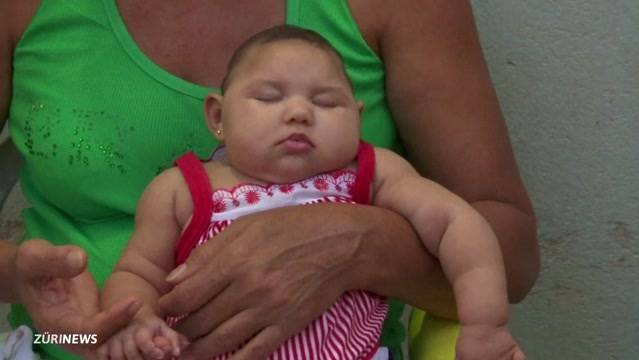 Notstand: Zika-Virus