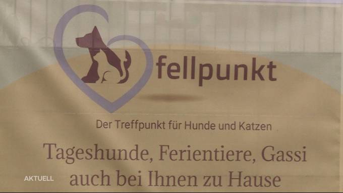 Obdachlos: Tierpension-Betreiberin und ihre Vierbeiner suchen ein neues Zuhause