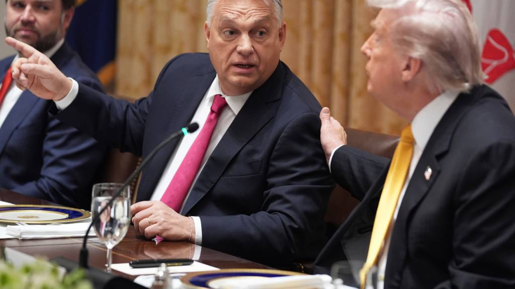 US-Präsident Donald Trump spricht zu Reportern während eines Treffens mit Ungarns Ministerpräsident Viktor Orban, während Vizepräsident JD Vance (r-l) im Kabinettsaal des Weißen Hauses zuhört. Foto: Evan Vucci/AP/dpa