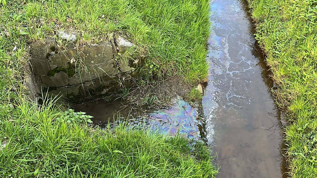 Die Einsatzkräfte entdeckten im Bach einen Ölfilm. Das verschmutzte Wasser aus einem Öltank war nicht sachgemäss entsorgt worden.