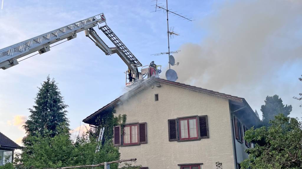 Die Thurgauer Polizei warnt bei der aktuellen Trockenheit vor dem Einsatz von Abflammgeräten gegen Unkraut. In Sirnach musste deswegen die Feuerwehr ausrücken.