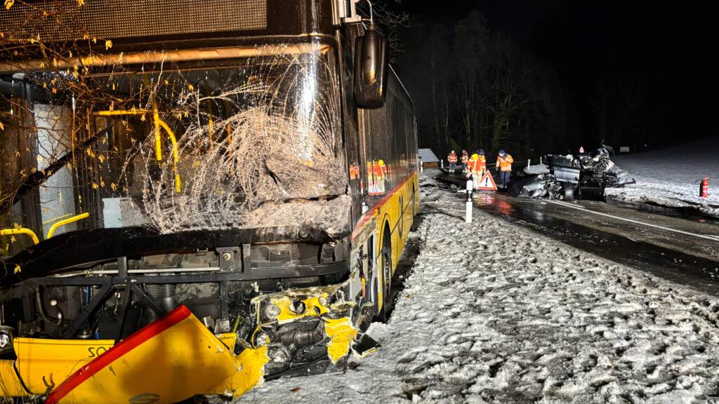 Ein Autofahrer kollidierte zwischen Herdern TG und Eschenz TG frontal mit einem entgegenkommenden Postauto.