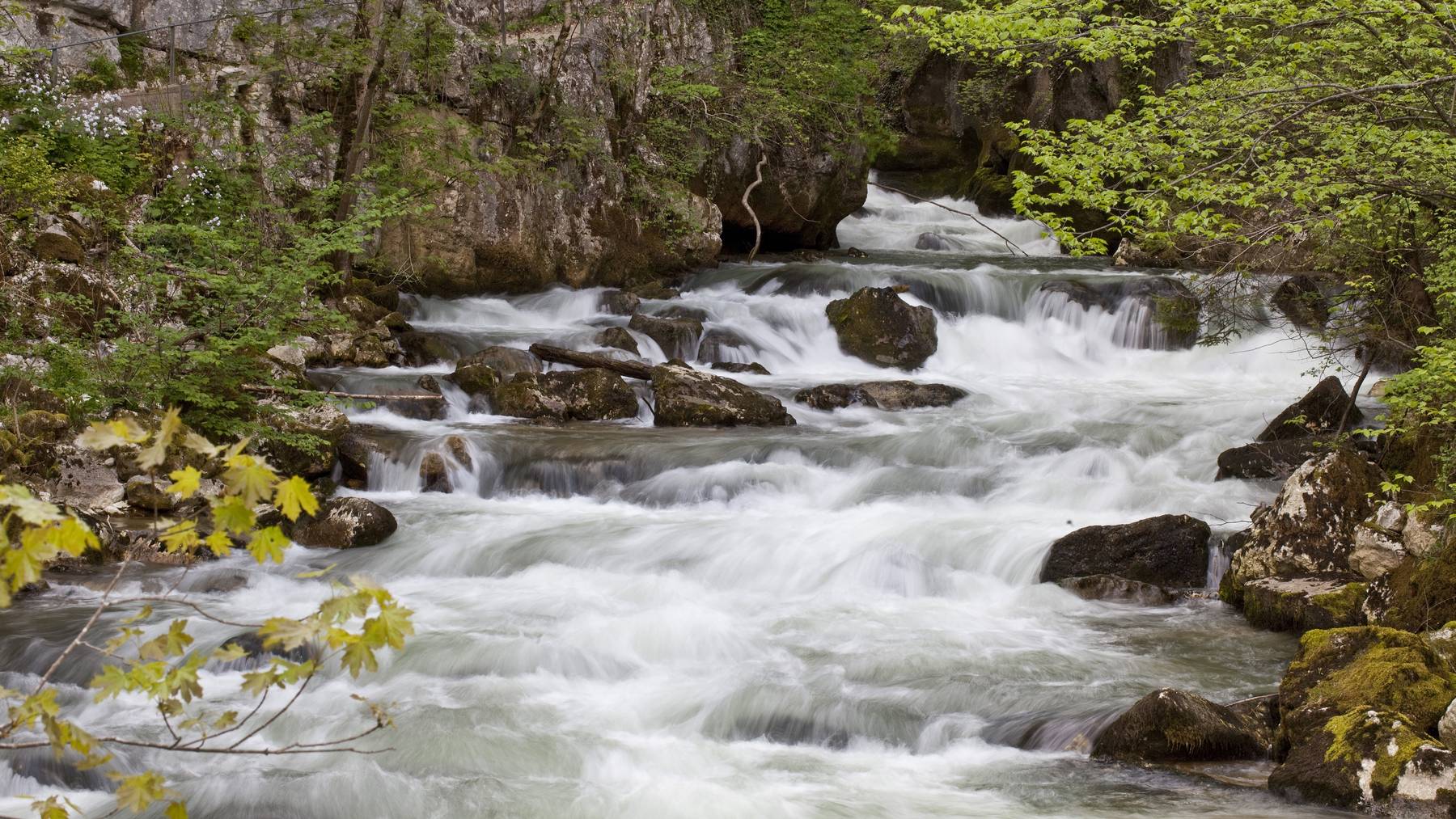 Taubenlochschlucht in Biel.