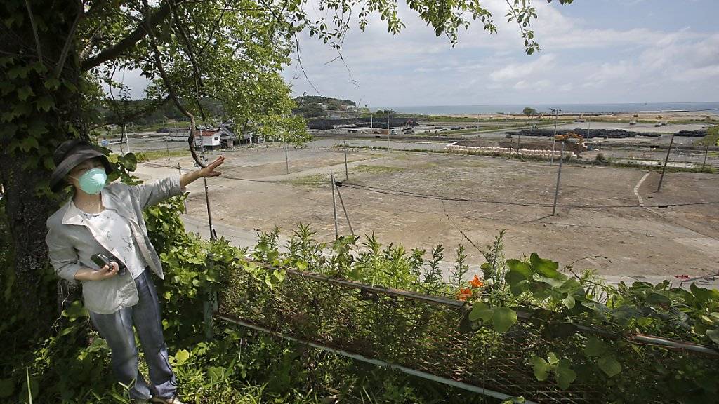 Aktivist Nakako Wada weist auf verstrahlte Felder in Tomioka in der Provinz Fukushima: Ein weiteres Urteil hat bestätigt, dass der Staat und der AKW-Betreiber Tepco Mitschuld trägt an der AKW-Katastrophe im März 2011. (Archiv)