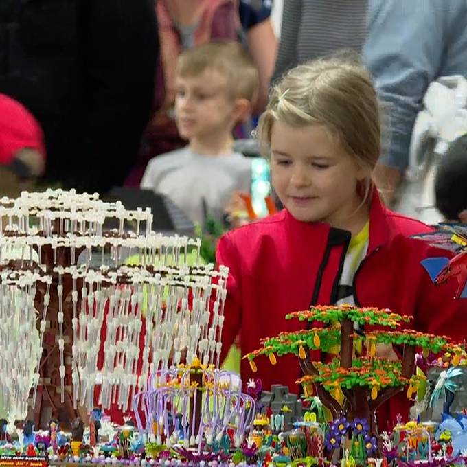 Lego-Ausstellung in Uster begeistert Tausende Fans