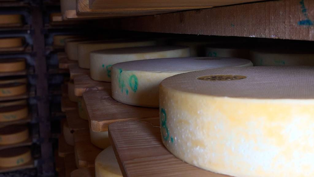 Quer in den Käse: Quereinsteiger produzieren Schweizer Käse