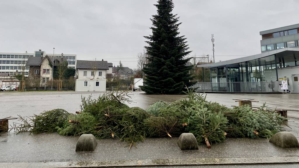 Weihnachtsbäume entsorgen Solothurn