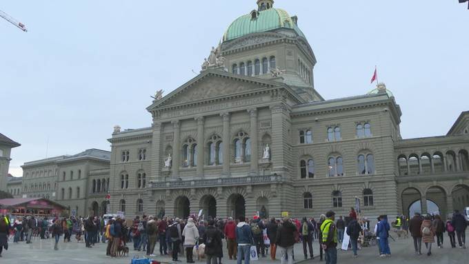 Hunderte demonstrieren in Bern gegen Wolfsabschuss