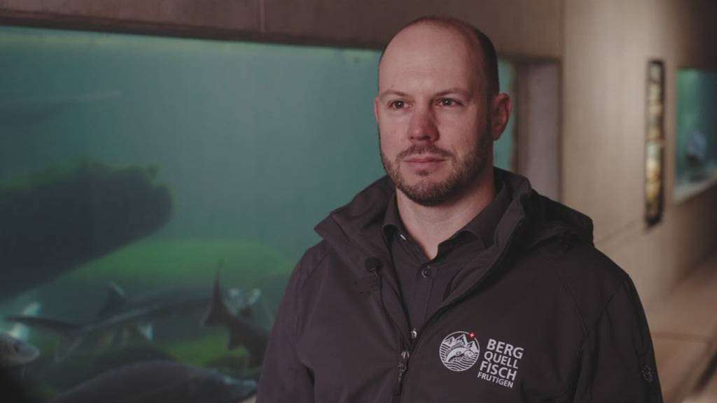 Kaviar und Fisch aus Frutigen