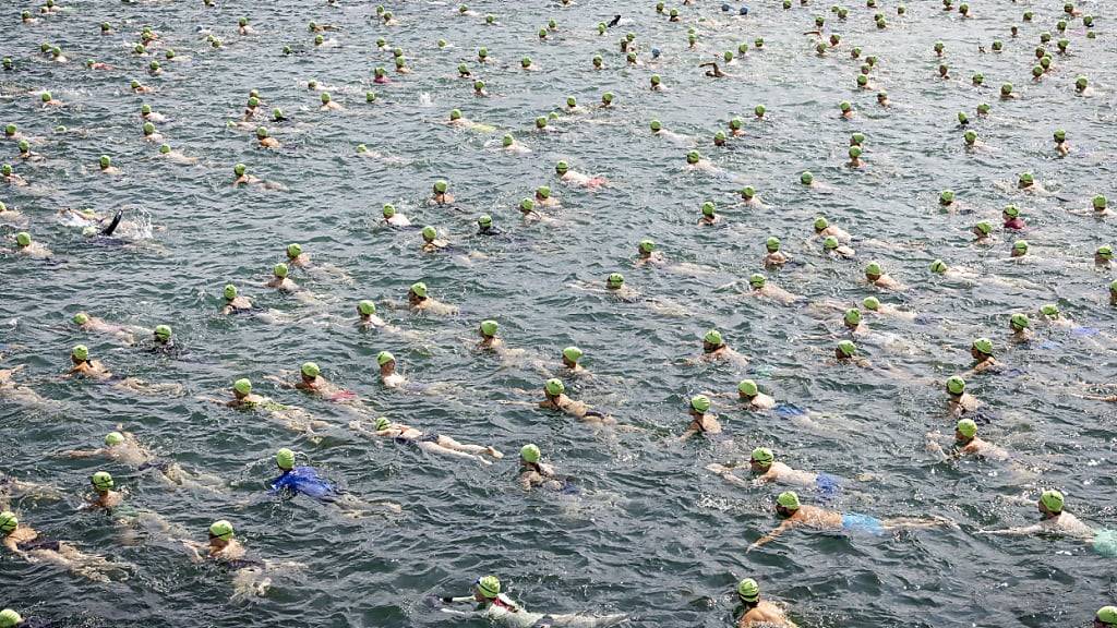 8558 Schwimmerinnen und Schwimmer überqueren in Zürich den See