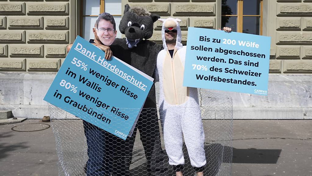 Die Kampagnenorganisation Campax hat am Donnerstag bei der Bundeskanzlei eine Petition mit über 48'000 Unterschriften gegen Wolf-Abschusspläne des Bundes eingereicht.