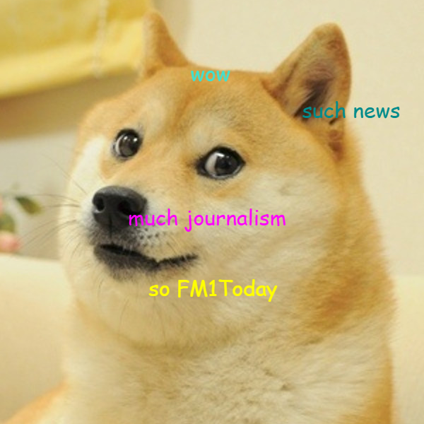 So sieht ein «Doge»-Meme über FM1Today aus. Much cool (Bild: diogr.io)