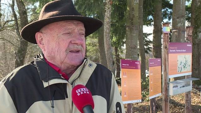 Bürgerwehr gegen geplantes Asylzentrum