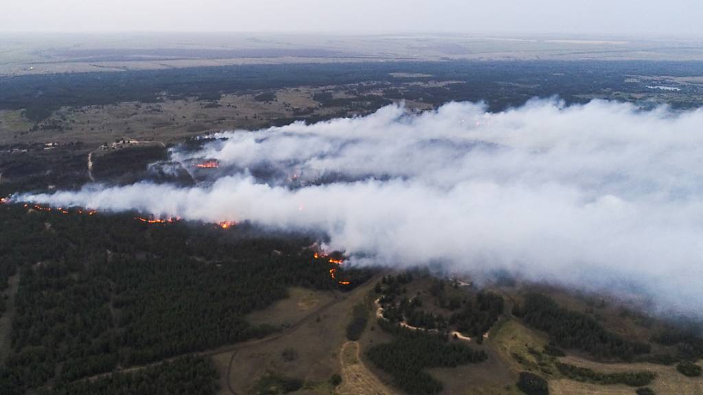 HANDOUT - Ein Waldbrand mit einer Fläche von 200 Hektar im Bezirk Danilovka. Foto: Ministerium für Katastrophenschutz/TASS/dpa