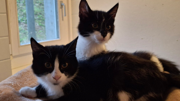 Gini und Oli