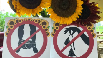 Farm verbietet Nacktfotos zwischen ihren Sonnenblumen 