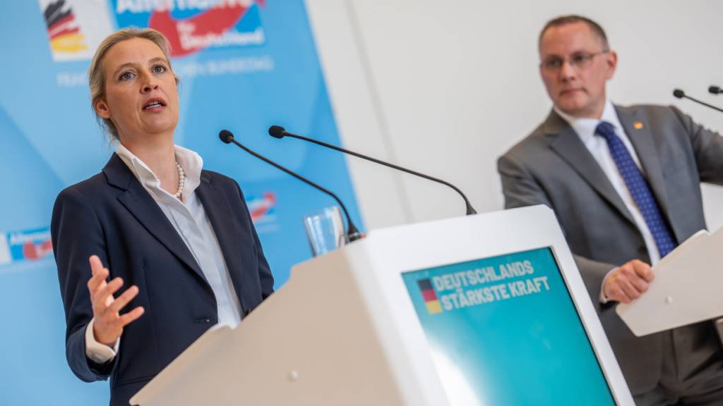 ARCHIV - Alice Weidel und Tino Chrupalla, Bundesvorsitzende und Fraktionsvorsitzende der AfD. Foto: Michael Kappeler/dpa/Archivbild