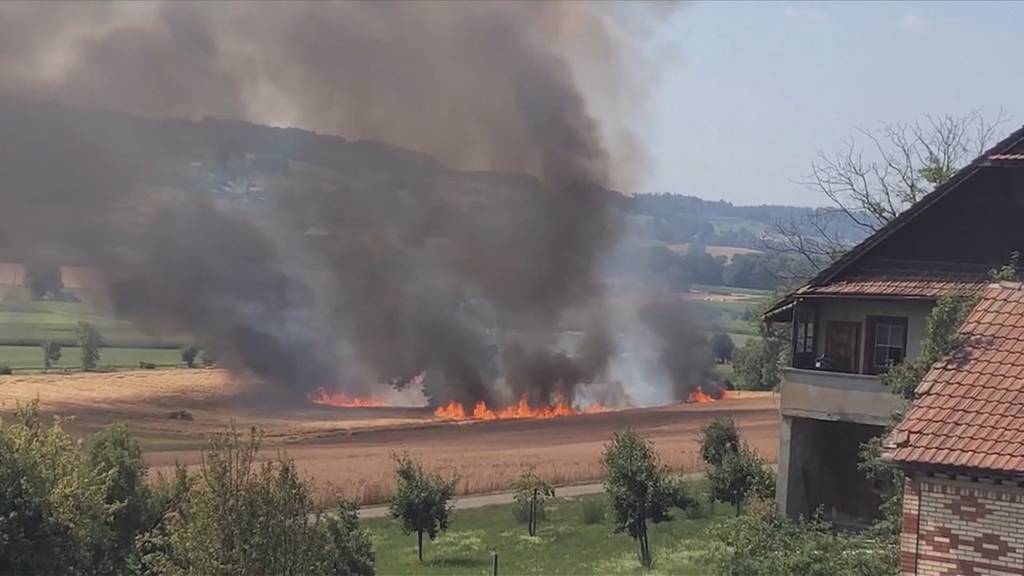 Feldbrände: Bauern leben gefährlich