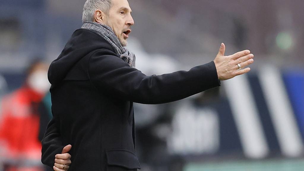 Adi Hütter weist Eintracht Frankfurt den Weg: Es geht in Richtung Champions Leauge