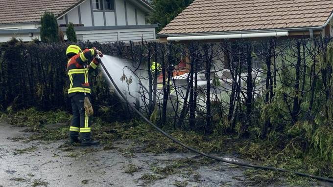 Schon wieder: Hecke in Brand geraten