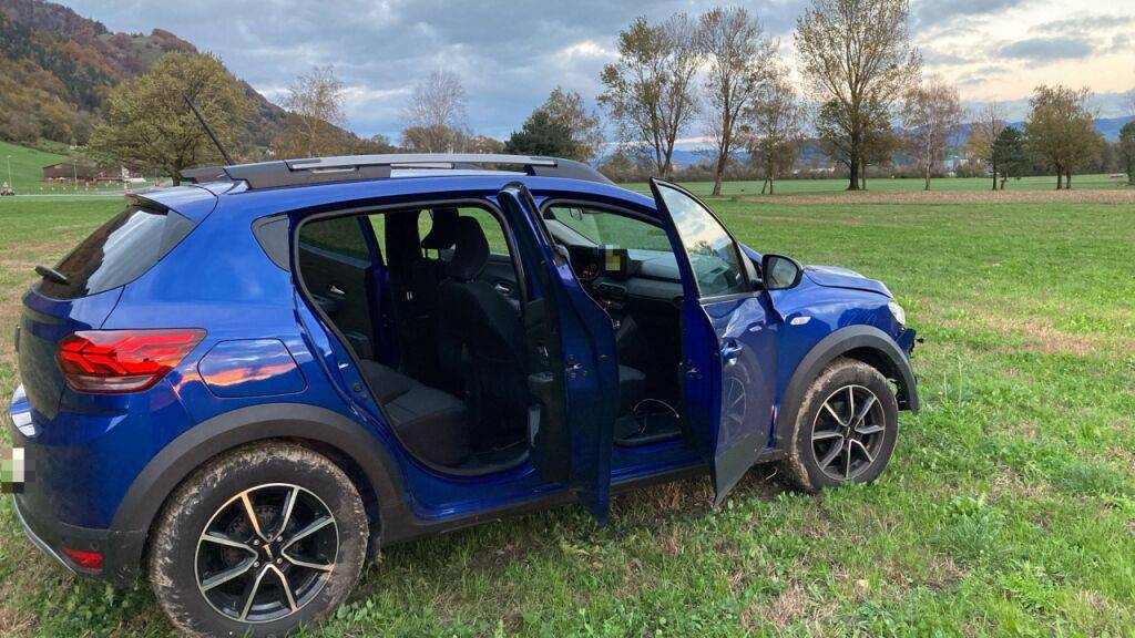 Der Wagen des Unfallverursachers blieb auf einer Wiese stehen.