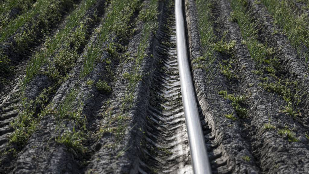 Liechtenstein schränkt Wasserentnahme für Landwirtschaft ein