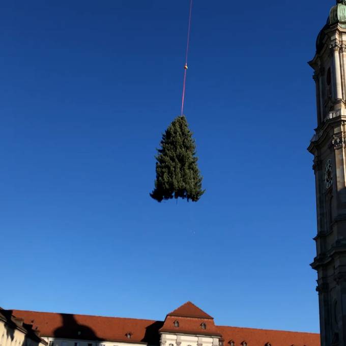 Der Christbaum ist auf dem Klosterplatz gelandet