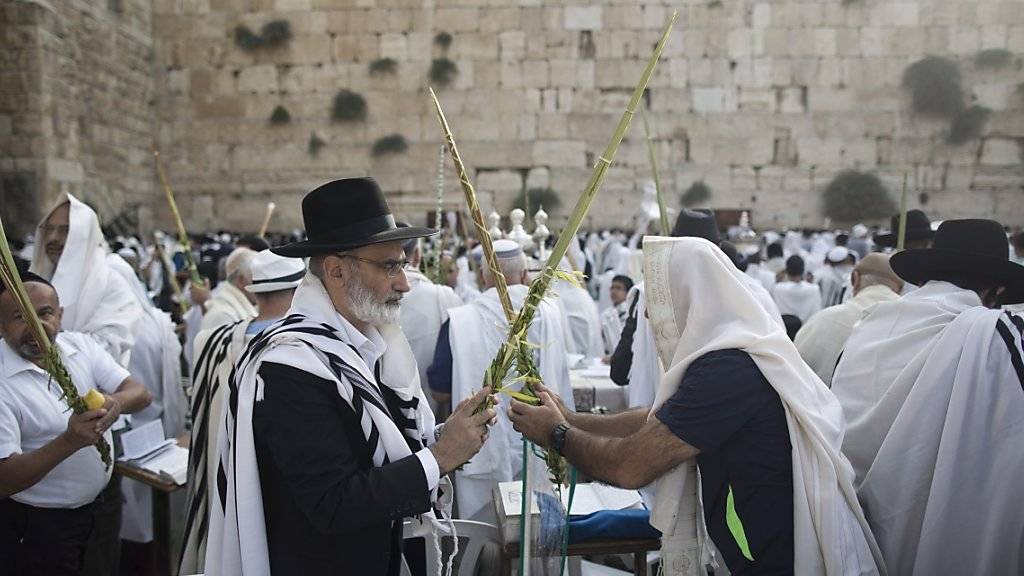 Orthodoxe Juden vor der Klagemauer bedecken sich den Kopf mit ihrem Gebetstuch und halten einen zu einem Feststrauss gebundenen Palmzweig in den Händen.