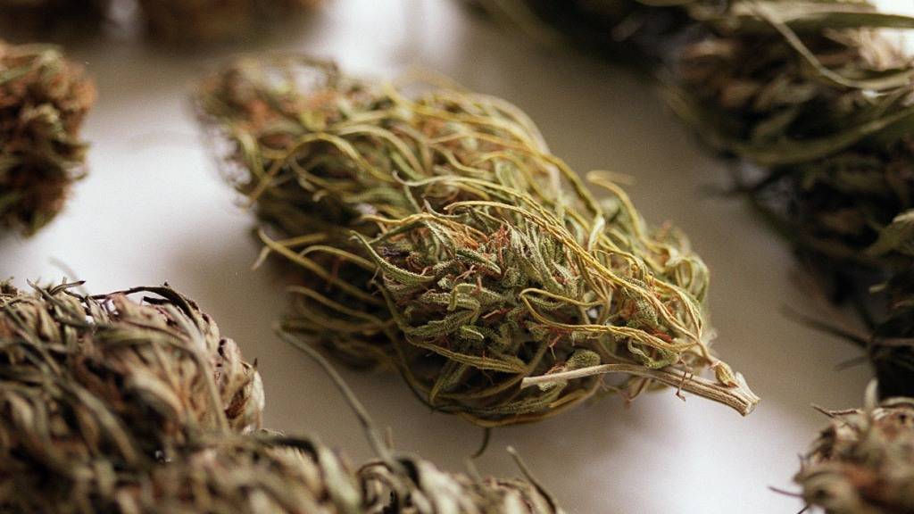 Mann deklariert am Zoll in Thayngen SH 117 Kilo Marihuana