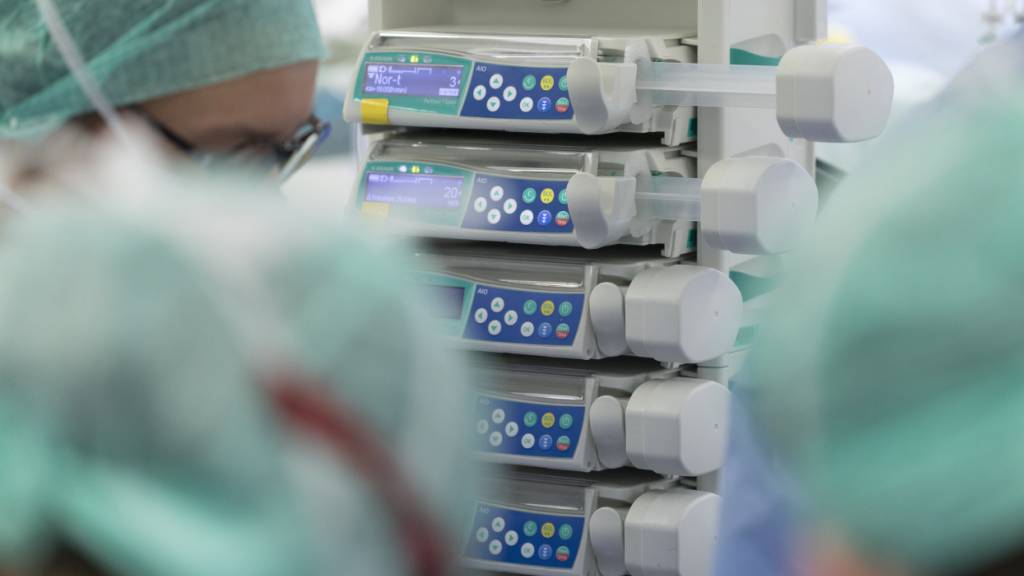 Viele Zugewanderte arbeiten in hochqualifizierten Berufen, wie die OECD-Studie zeigt. (Symbolbild)