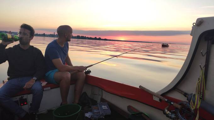 Veränderung im Bodensee – Tragödie für Berufsfischer, aber nicht für Hobbyangler