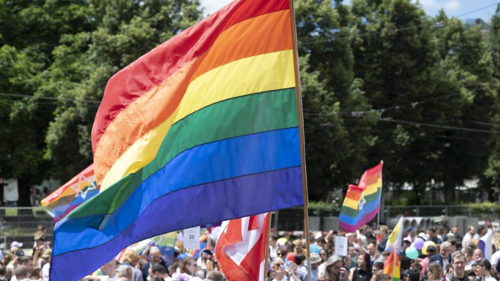 Das zur Zurich Pride gehörende Festival soll künftig Eintritt kosten. (Symbolbild)