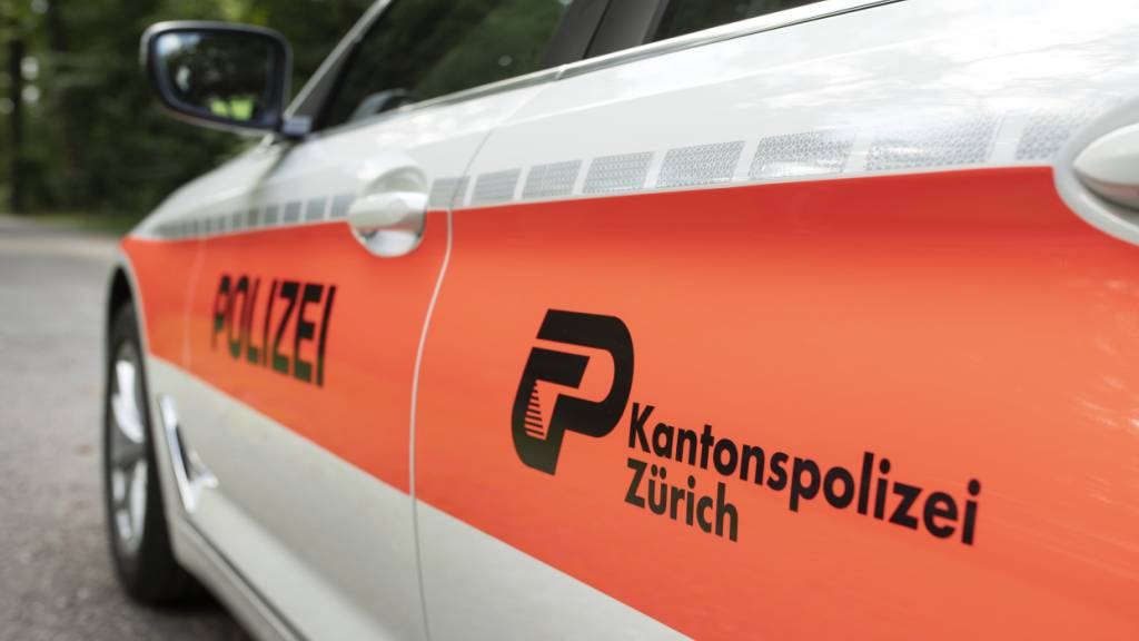 Zwei Männer nach Autodiebstahl und Flucht in Oberentfelden gefasst