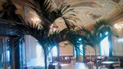 Die kontroversen Palmen in der Wandelhalle im Bundeshaus. Bild: Bundeshaus-Radio