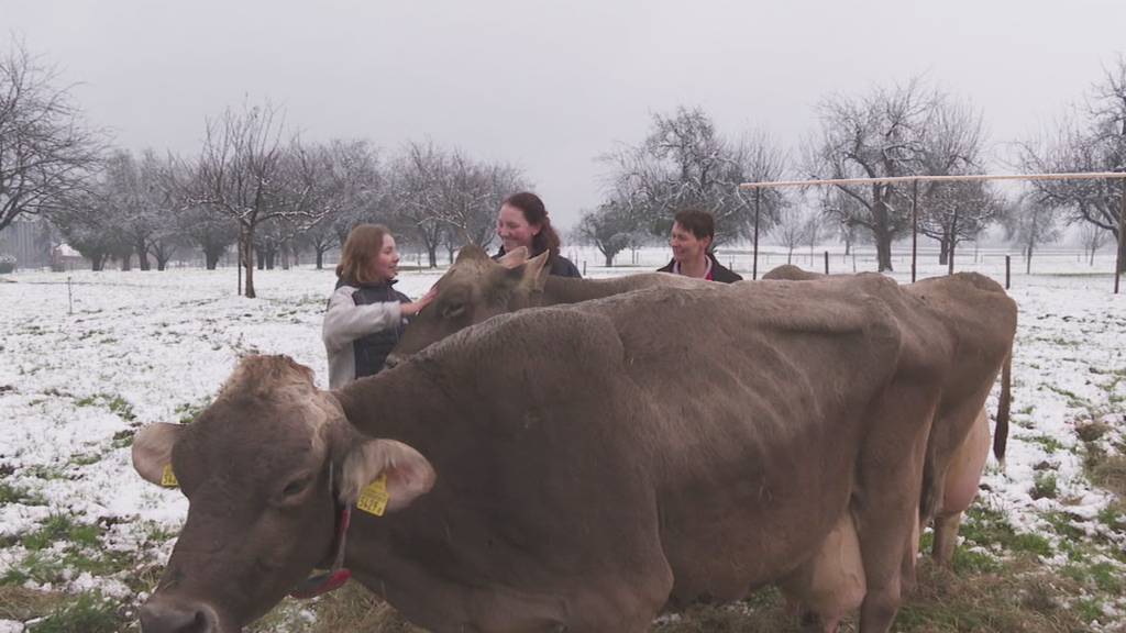 Über 100'000 Liter Milch – Bauer aus Neukirch-Egnach verrät sein Rekord-Geheimnis