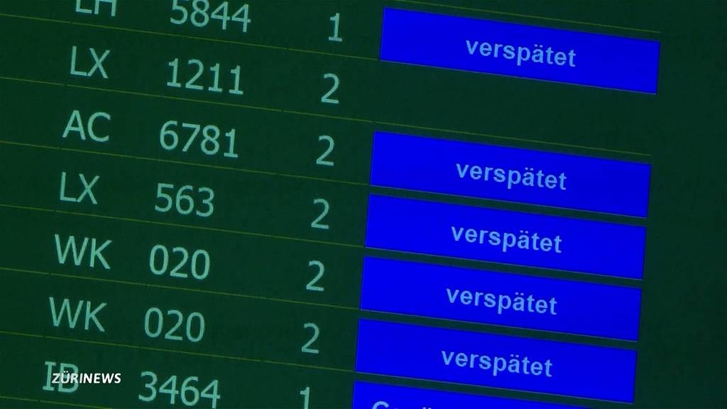 Hacker-Angriff sorgt welweit für Flugverspätungen