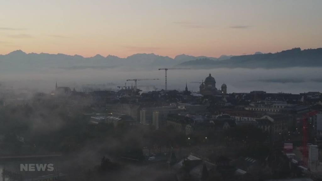 Keine Bernburger in der Stadtregierung