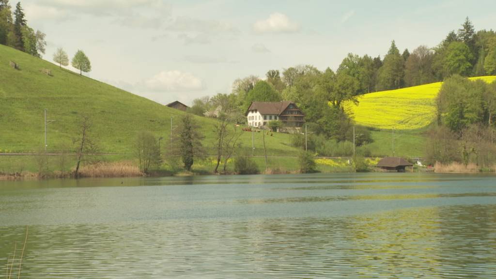 Vorsicht in der Natur - So viele Zeckenfälle wie seit Jahren nicht mehr